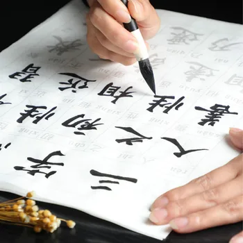 Тетради для каллиграфии китайской кистью, Тетради для занятий обычным Почерком, Тетради для начинающих, Тетради для стихотворений с китайским Пиньинем